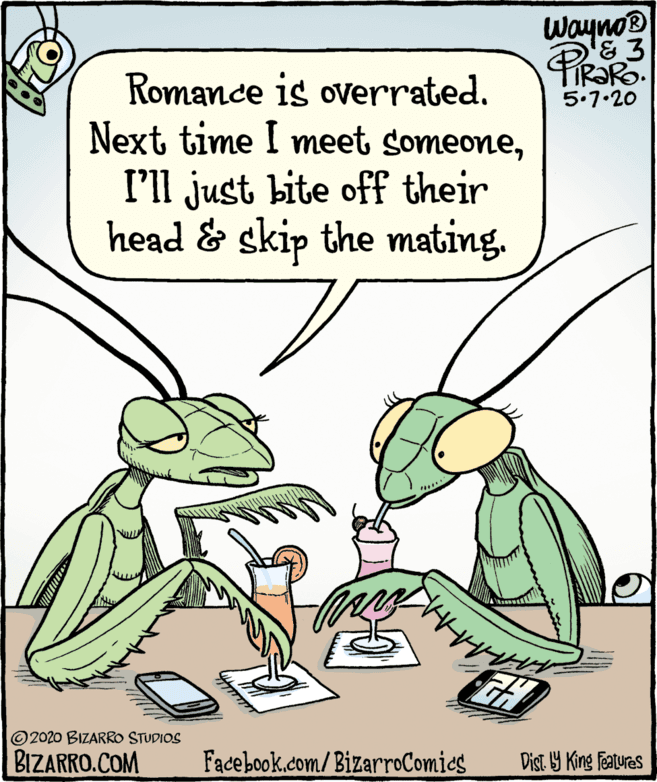 Animated cartoon OCR: Wayno® '&3 Romance is overrated. Next time I meet someoneI'll just bite off their head & skip the mating. 5.1•20 © 2020 BIZARRO STUDIOS BIZARRO.COM Facebook.com/BizarroComics Dist. Y King features Wayno® '&3 Romance is overrated. Next time I meet someoneI'll just bite off their head & skip the mating. 5.1•20 © 2020 BIZARRO STUDIOS BIZARRO.COM Facebook.com/BizarroComics Dist. Y King features
