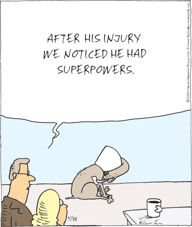 Fictional character OCR: AFTER HIS INJURY WE NOTICED HE HAD SUPERPOWERS. 5/28 Niler he ©2OLO NIKLAS ERIKSSON/BULLSINC| AFTER HIS INJURY WE NOTICED HE HAD SUPERPOWERS. 5/28 Niler he ©2OLO NIKLAS ERIKSSON/BULLSDIST. BY KING FEATURES SYNDICATE