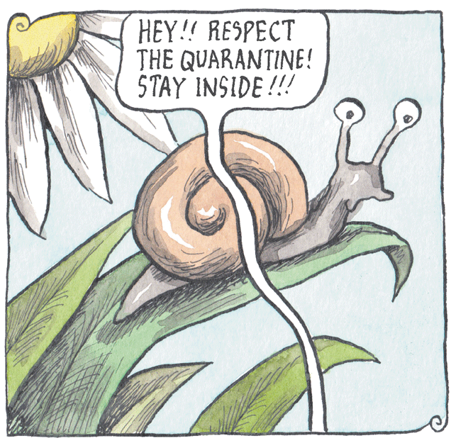 Fictional character OCR: HEY! RESPECT THE QUARANTINE! STAY INSIDE!!! HEY! RESPECT THE QUARANTINE! STAY INSIDE!!!