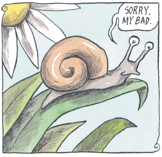 Drawing OCR: SORRY. MY BAD. SORRY. MY BAD.