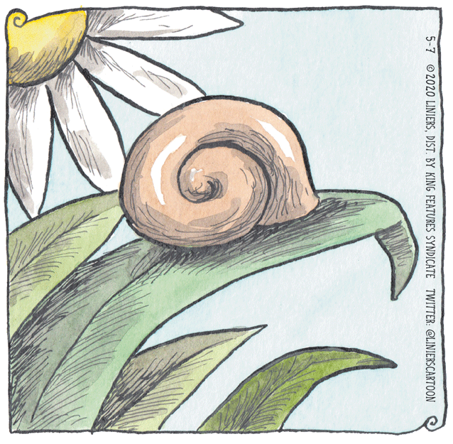 Insect OCR: 5-7 © 2020 LINIERSDIST. BY KING FEATURES SYNDICATE TWITTER: @LINIERSCARTOON 5-7 © 2020 LINIERSDIST. BY KING FEATURES SYNDICATE TWITTER: @LINIERSCARTOON