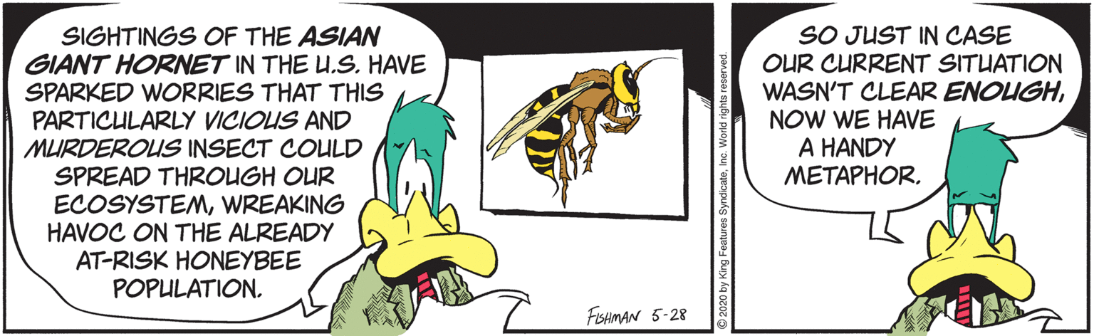 Pest OCR: SIGHTINGS OF THE ASIAN GIANT HORNET IN THE U.S. HAVE SPARKED WORRIES THAT THIS PARTICULARLY VICIOUS AND MURDEROUS INSECT COULD SPREAD THROUGH OUR ECOSYSTEMWREAKING HAVOC ON THE ALREADY AT-RISK HONEYBEE POPULATION. SO JUST IN CASE OUR CURRENT SITUATION WASN'T CLEAR ENOUGHNOW WE HAVE A HANDY METAPHORFISHMAN 5-28 2020 by King Features Syndicate SIGHTINGS OF THE ASIAN GIANT HORNET IN THE U.S. HAVE SPARKED WORRIES THAT THIS PARTICULARLY VICIOUS AND MURDEROUS INSECT COULD SPREAD THROUGH OUR ECOSYSTEMWREAKING HAVOC ON THE ALREADY AT-RISK HONEYBEE POPULATION. SO JUST IN CASE OUR CURRENT SITUATION WASN'T CLEAR ENOUGHNOW WE HAVE A HANDY METAPHORFISHMAN 5-28 2020 by King Features Syndicate
