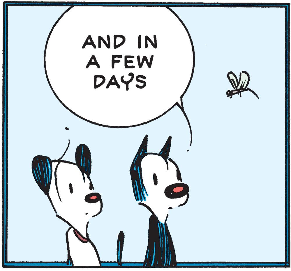 Humour OCR: AND IN A FEW DAYS AND IN A FEW DAYS