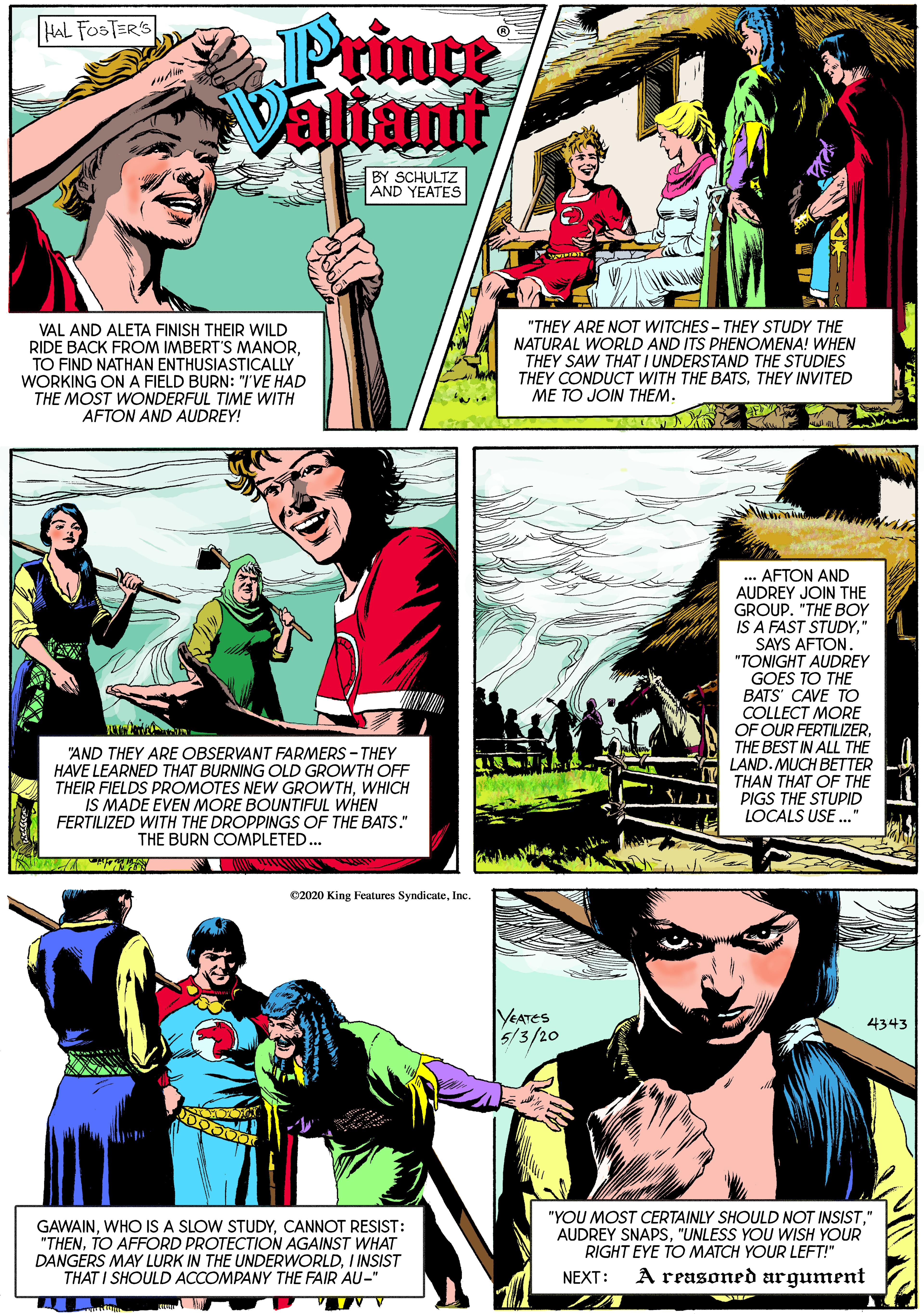 People OCR: HAL FOSTERS Princt Vahant BY SCHULTZ AND YEATES VAL AND ALETA FINISH THEIR WILD RIDE BACK FROM IMBERT'S MANORTO FIND NATHAN ENTHUSIASTICALLY WORKING ON A FIELD BURN: "/'VE HAD THE MOST WONDERFUL TIME WITH AFTON AND AUDREY! "THEY ARE NOT WITCHES - THEY STUDY THE NATURAL WORLD AND ITS PHENOMENA! WHEN THEY SAW THAT I UNDERSTAND THE STUDIES THEY CONDUCT WITH THE BATS. THEY INVITED ME TO JOIN THEM. ... AFTON AND AUDREY JOIN THE GROUP. "THE BOY IS A FAST STUDY" SAYS AFTON. "TONIGHT AUDREY GOES TO THE BATS' CAVE TO COLLECT MORE OF OUR FERTILIZERTHE BEST IN ALL THE LAND. MUCH BETTER THAN THAT OF THE PIGS THE STUPID LOCALS USE ." "AND THEY ARE OBSERVANT FARMERS - THEY HAVE LEARNED THAT BURNING OLD GROWTH OFF THEIR FIELDS PROMOTES NEW GROWTHWHICH IS MADE EVEN MORE BOUNTIFUL WHEN FERTILIZED WITH THE DROPPINGS OF THE BATS." THE BURN COMPLETED... 02020 King Features SyndicateInc. YEATES 5/3/20 4343 GAWAINCANNOT RESIST: "THENTO AFFORD PROTECTION AGAINST WHAT DANGERS MAY LURK IN THE UNDERWORLDI INSIST THAT I SHOULD ACCOMPANY THE FAIR AU-" "YOU MOST CERTAINLY SHOULD NOT INSIST." AUDREY SNAPS. "UNLESS YOU WISH YOUR RIGHT EYE TO MATCH YOUR LEFT!" NEXT: A reasoned argument A A HAL FOSTERS Princt Vahant BY SCHULTZ AND YEATES VAL AND ALETA FINISH THEIR WILD RIDE BACK FROM IMBERT'S MANORTO FIND NATHAN ENTHUSIASTICALLY WORKING ON A FIELD BURN: "/'VE HAD THE MOST WONDERFUL TIME WITH AFTON AND AUDREY! "THEY ARE NOT WITCHES - THEY STUDY THE NATURAL WORLD AND ITS PHENOMENA! WHEN THEY SAW THAT I UNDERSTAND THE STUDIES THEY CONDUCT WITH THE BATS. THEY INVITED ME TO JOIN THEM. ... AFTON AND AUDREY JOIN THE GROUP. "THE BOY IS A FAST STUDY" SAYS AFTON. "TONIGHT AUDREY GOES TO THE BATS' CAVE TO COLLECT MORE OF OUR FERTILIZERTHE BEST IN ALL THE LAND. MUCH BETTER THAN THAT OF THE PIGS THE STUPID LOCALS USE ." "AND THEY ARE OBSERVANT FARMERS - THEY HAVE LEARNED THAT BURNING OLD GROWTH OFF THEIR FIELDS PROMOTES NEW GROWTHWHICH IS MADE EVEN MORE BOUNTIFUL WHEN FERTILIZED WITH THE DROPPINGS OF THE BATS." THE BURN COMPLETED... 02020 King Features SyndicateInc. YEATES 5/3/20 4343 GAWAINWHO IS A SLOW STUDYCANNOT RESIST: "THENTO AFFORD PROTECTION AGAINST WHAT DANGERS MAY LURK IN THE UNDERWORLDI INSIST THAT I SHOULD ACCOMPANY THE FAIR AU-" "YOU MOST CERTAINLY SHOULD NOT INSIST." AUDREY SNAPS. "UNLESS YOU WISH YOUR RIGHT EYE TO MATCH YOUR LEFT!" NEXT: A reasoned argument A A