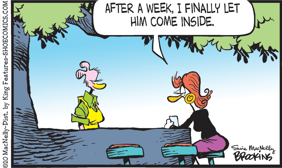 Graphics OCR: AFTER A WEEKI FINALLY LET HIM COME INSIDE. Susie Macklly ©20 MacNelly-Dist. by King Features-SHOECOMICS.COM AFTER A WEEKI FINALLY LET HIM COME INSIDE. Susie Macklly ©20 MacNelly-Dist. by King Features-SHOECOMICS.COM
