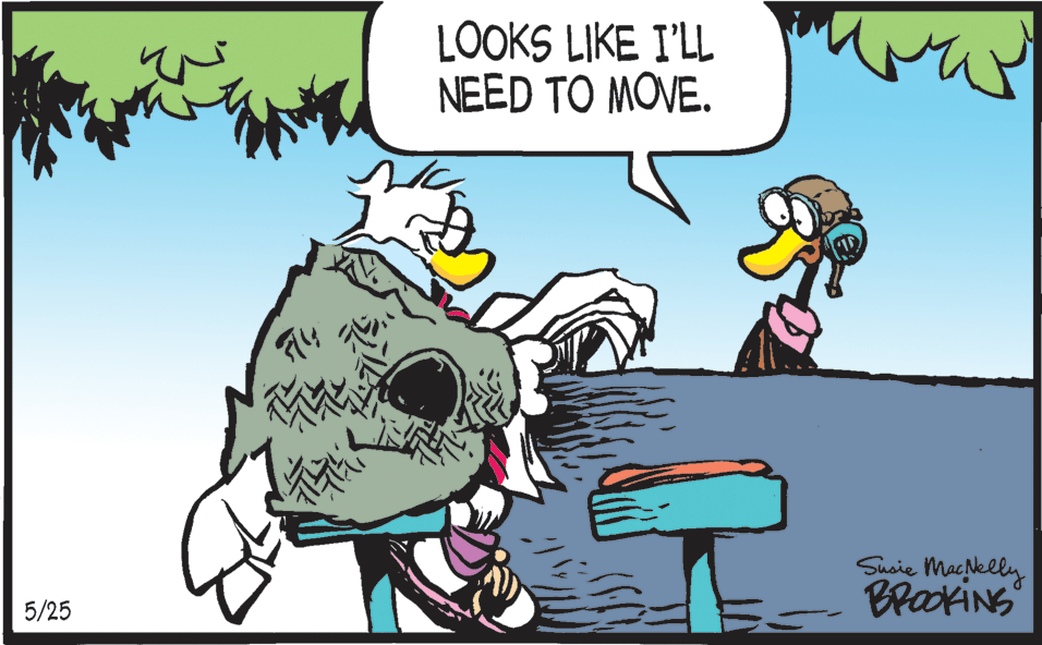Comic book OCR: LOOKS LIKE I'LL NEED TO MOVE. 714 5/25 Susie Macklly LOOKS LIKE I'LL NEED TO MOVE. 714 5/25 Susie Macklly