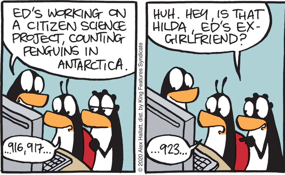 Illustration OCR: ED'S WORKING ON A CITIZEN SCIENCE PROJECTCOUNTING PENGUINS IN ANTARCTICA. HUH. HEYIS THAT HILDAED'S EX- GIRLFRIEND? ?6??... ..923. 2020 Alex Hallattdist. by King Features Syndicate ED'S WORKING ON A CITIZEN SCIENCE PROJECTCOUNTING PENGUINS IN ANTARCTICA. HUH. HEYIS THAT HILDAED'S EX- GIRLFRIEND? ?6??... ..923. 2020 Alex Hallattdist. by King Features Syndicate
