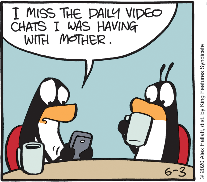 Photo caption OCR: I MISS THE DAILY VIDEO CHATS I WAS HAVING WITH MOTHER. 6-3 © 2020 Alex Hallattdist. by King Features Syndicate I MISS THE DAILY VIDEO CHATS I WAS HAVING WITH MOTHER. 6-3 © 2020 Alex Hallattdist. by King Features Syndicate