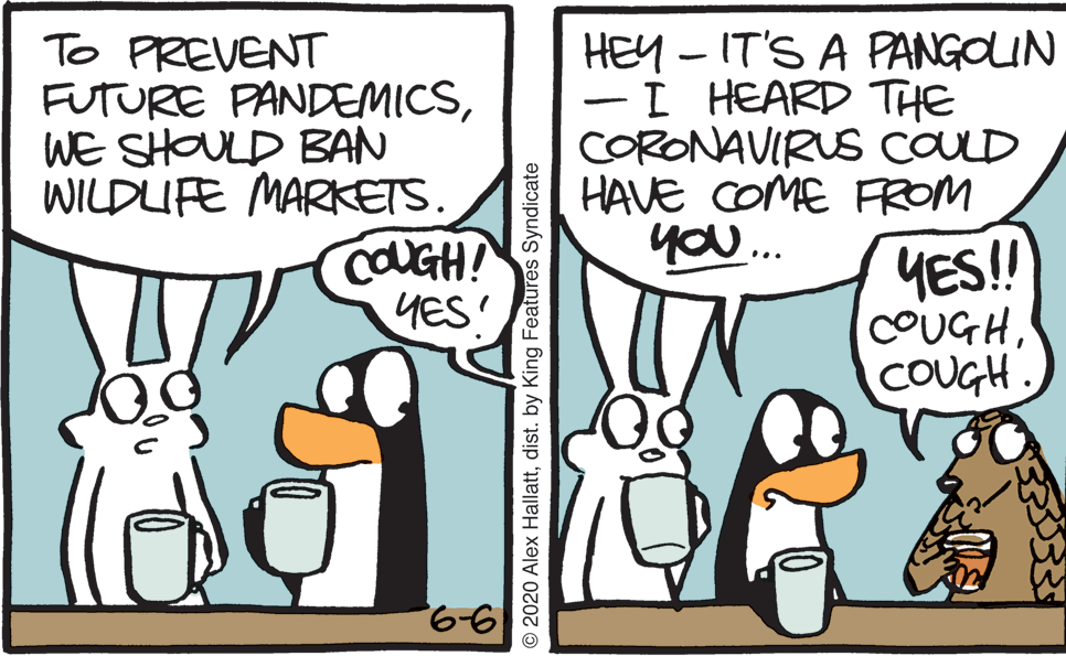 Photo caption OCR: HEY - IT'S A PANGOLIN -I HEARD THE CORONAVIRUS COULD HAVE COME FROM you. To PREVENT FUTURE PANDEMICSWE SHOULD BAN WILDUFE MARKETS. COUGH! YES' _ YES! COUGHCOUGH © 2020 Alex Hallattdist. by King Features Syndicate HEY - IT'S A PANGOLIN -I HEARD THE CORONAVIRUS COULD HAVE COME FROM you. To PREVENT FUTURE PANDEMICSWE SHOULD BAN WILDUFE MARKETS. COUGH! YES' _ YES! COUGHCOUGH © 2020 Alex Hallattdist. by King Features Syndicate