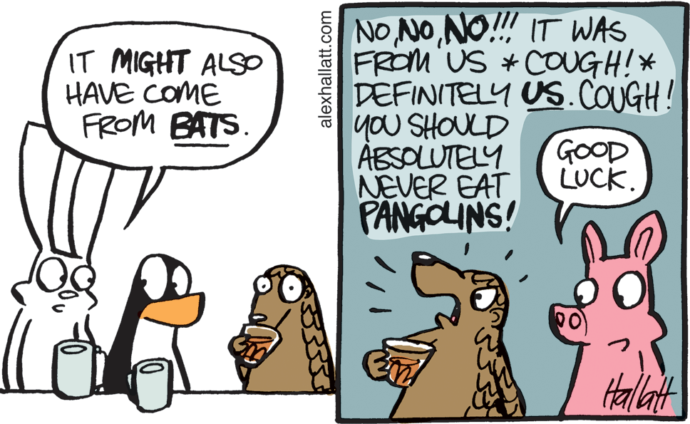Fictional character OCR: NO NONO!! IT WAS FROM US + COUGH!* DEFINITELY US.COUGH! yOU SHOULD ABSOLUTELY NEVER EAT PANGCLINS! IT MIGHT ALS HAVE COME FROM BATS GOOD LUCK. Hallat alexhallatt.com NO NONO!! IT WAS FROM US + COUGH!* DEFINITELY US.COUGH! yOU SHOULD ABSOLUTELY NEVER EAT PANGCLINS! IT MIGHT ALS HAVE COME FROM BATS GOOD LUCK. Hallat alexhallatt.com