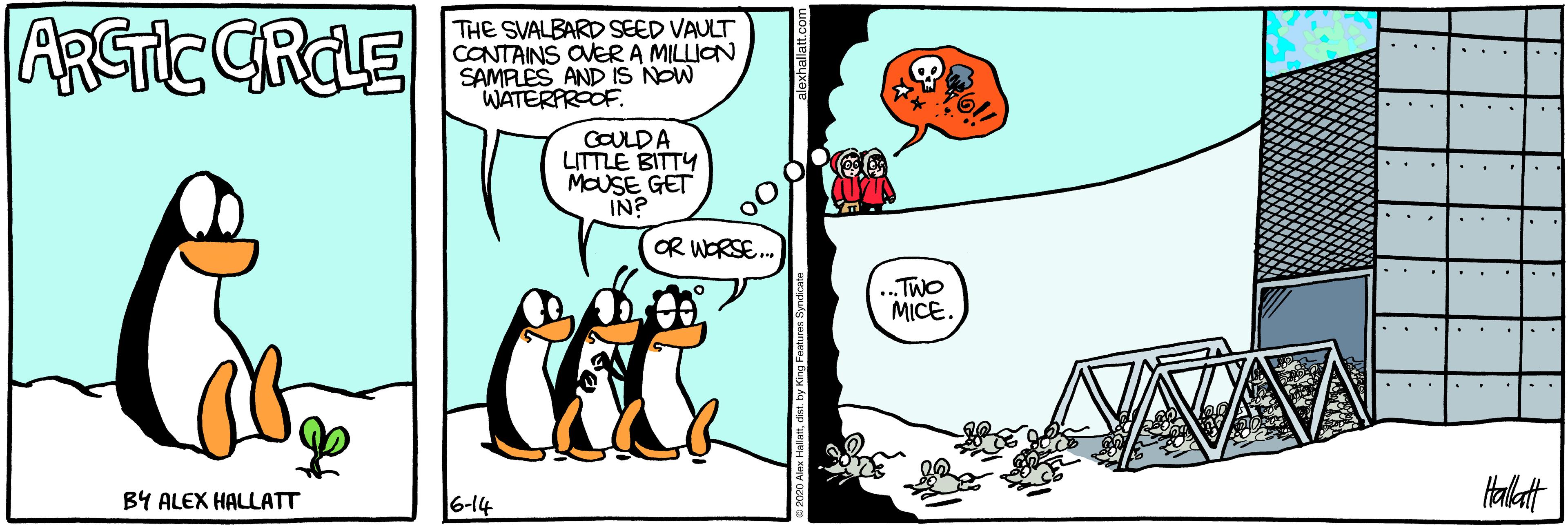 Illustration OCR: ARGTIC CRAE THE SVALBARD SEED VAULT CONTAINS OVERA MILLION SAMPLES AND IS NOW WATERPROOF. . .. ... ... .. COULDA LITTLE BITTY MOUSE GET IN? ... . ... ...I.. OR WORSE. .. .TWO MICE .. BY ALEX HALLATT 6-14 Halatt ARGTIC CRAE THE SVALBARD SEED VAULT CONTAINS OVERA MILLION SAMPLES AND IS NOW WATERPROOF. . .. ... ... .. COULDA LITTLE BITTY MOUSE GET IN? ... . ... ...I.. OR WORSE. .. .TWO MICE .. BY ALEX HALLATT 6-14 Halatt