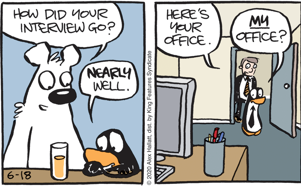 Comic book OCR: HOW DID YOUR INTERVIEW GOo? HERE'S YOUR OFFICE. MU OFFICE? NEARLY WELL. 6-18 O 2020 Alex Hallattdist. by King Features Syndicate HOW DID YOUR INTERVIEW GOo? HERE'S YOUR OFFICE. MU OFFICE? NEARLY WELL. 6-18 O 2020 Alex Hallattdist. by King Features Syndicate