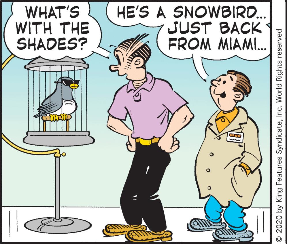 Comic book OCR: WHAT'S WITH THE SHADES? HE'S A SNOWBIRD. JUST BACK FROM MIAMI. O 2020 by King Features SyndicateInc. World Rights reserved WHAT'S WITH THE SHADES? HE'S A SNOWBIRD. JUST BACK FROM MIAMI. O 2020 by King Features SyndicateInc. World Rights reserved