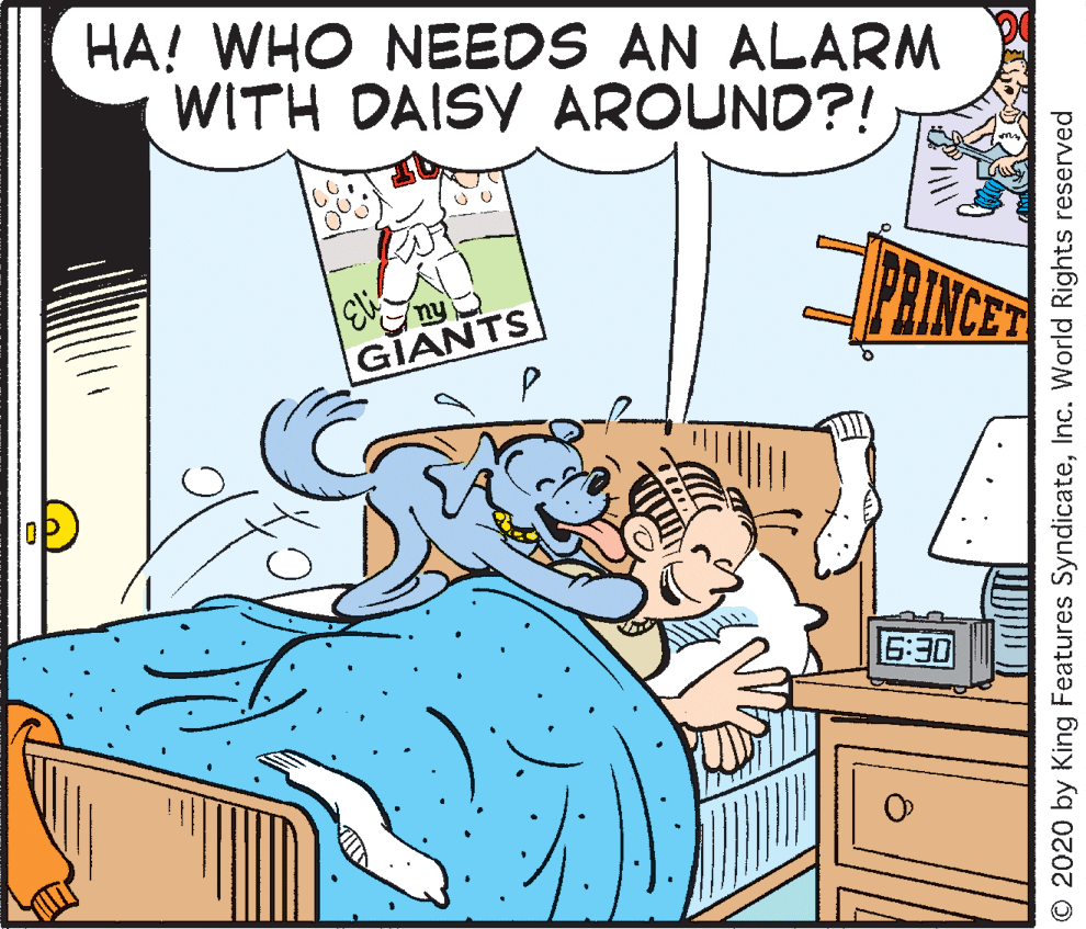 Rectangle OCR: HA! WHO NEEDS AN ALARM WITH DAISY AROUND?! PRINCES GIANTS 6:30 O 2020 by King Features SyndicateInc. World Rights reserved HA! WHO NEEDS AN ALARM WITH DAISY AROUND?! PRINCES GIANTS 6:30 O 2020 by King Features SyndicateInc. World Rights reserved