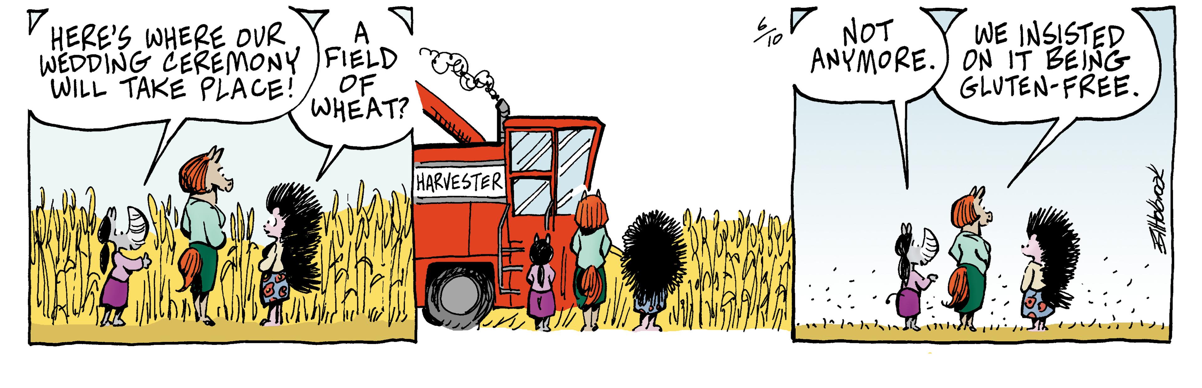 Painting OCR: NOT WE INSISTED ANYMORE.) ON IT BEING GLUTEN-FREE. V HERE'S WHERE OUR A WEDDING CERÉMONY FIELD WILL TAKE PLACE! OF WHEAT? HARVESTER NOT WE INSISTED ANYMORE.) ON IT BEING GLUTEN-FREE. V HERE'S WHERE OUR A WEDDING CERÉMONY FIELD WILL TAKE PLACE! OF WHEAT? HARVESTER