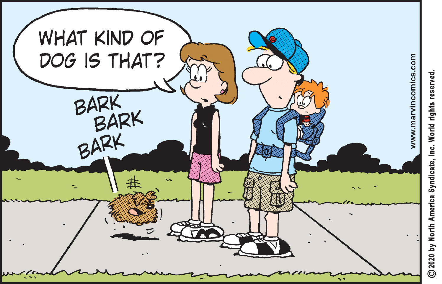 Gesture OCR: WHAT KIND OF DOG IS THAT ? BARK BARK BARK ? www.marvincomics.com © 2020 by North America SyndicateInc. World rights reserved. WHAT KIND OF DOG IS THAT ? BARK BARK BARK ? www.marvincomics.com © 2020 by North America SyndicateInc. World rights reserved.