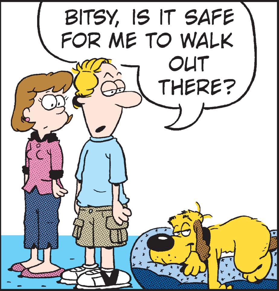 Mammal OCR: BITSYIS IT SAFE FOR ME TO WALK OUT THERE? BITSYIS IT SAFE FOR ME TO WALK OUT THERE?