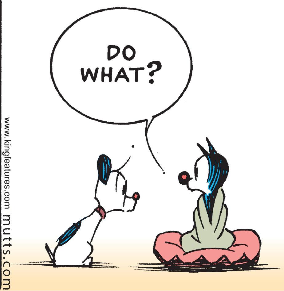 Line art OCR: DO WHAT? www.kingfeatures.com mutts.com DO WHAT? www.kingfeatures.com mutts.com