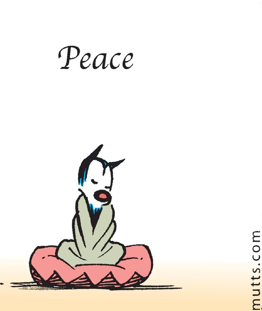 Illustration OCR: ??ace AAA mutts.com ??ace AAA mutts.com