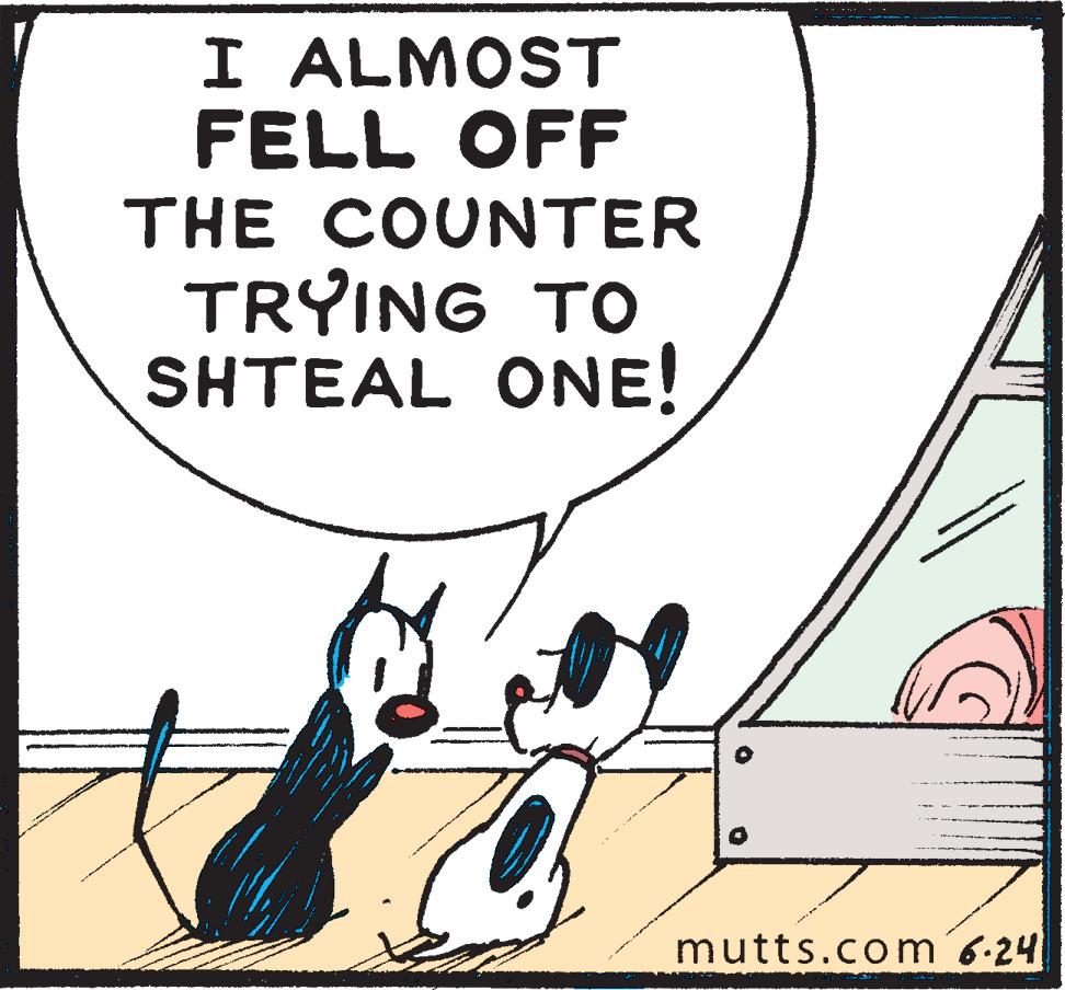Photo caption OCR: I ALMOST FELL OFF THE COUNTER TRYING TO SHTEAL ONE! mutts.com´6-24 I ALMOST FELL OFF THE COUNTER TRYING TO SHTEAL ONE! mutts.com´6-24