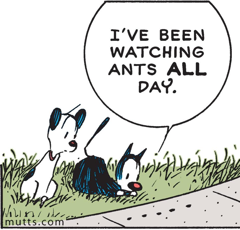 Clip art OCR: I'VE BEEN WATCHING ANTS ALL DAY. mutts.com I'VE BEEN WATCHING ANTS ALL DAY. mutts.com