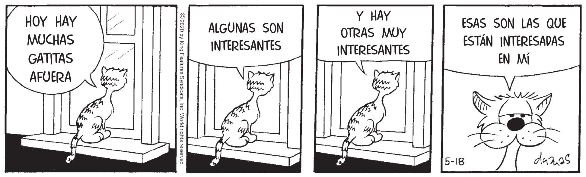 Cat OCR: HOY HAY Y HAY ALGUNAS SON ESAS SON LAS QUE OTRAS MUY MUCHAS GATITAS INTERESANTES ESTÁN INTERESADAS INTERESANTES EN MÍ AFUERA 5-18 danas HOY HAY Y HAY ALGUNAS SON ESAS SON LAS QUE OTRAS MUY MUCHAS GATITAS INTERESANTES ESTÁN INTERESADAS INTERESANTES EN MÍ AFUERA 5-18 danas