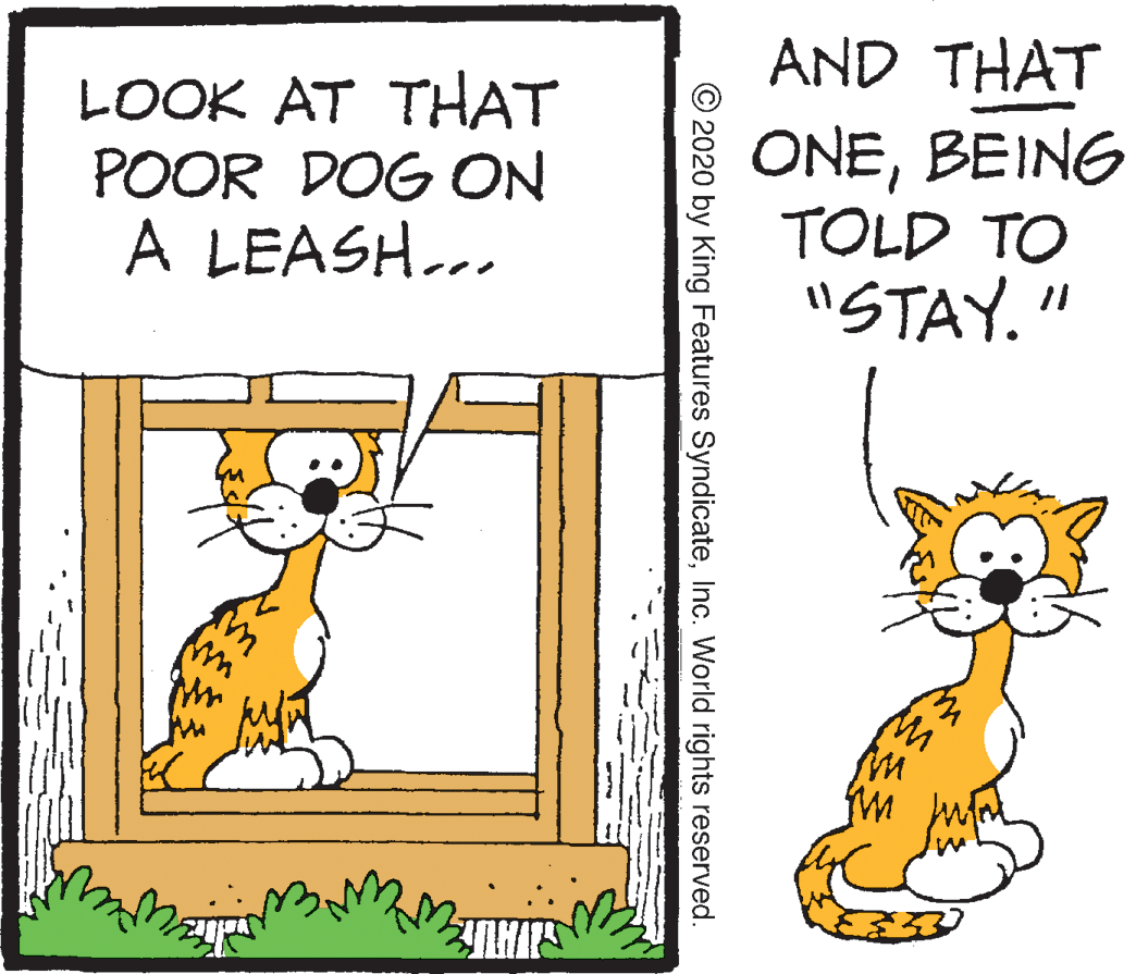 Illustration OCR: AND THAT LOOK AT THAT POOR DOG ON A LEASH... ONEBEING TOLD TO "STAY. " © 2020 by King Features SyndicateInc. World rights reserved. AND THAT LOOK AT THAT POOR DOG ON A LEASH... ONEBEING TOLD TO "STAY. " © 2020 by King Features SyndicateInc. World rights reserved.