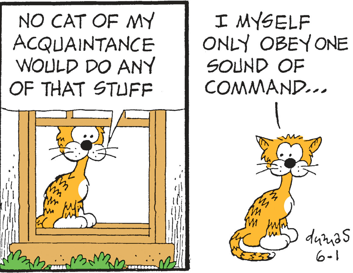 Felidae OCR: NO CAT OF MY ACQUAINTANCE WOULD DO ANY OF THAT STUFF I MYSELF ONLY OBEYONE SOUND OF COMMAND.. dunias 6-1 NO CAT OF MY ACQUAINTANCE WOULD DO ANY OF THAT STUFF I MYSELF ONLY OBEYONE SOUND OF COMMAND.. dunias 6-1