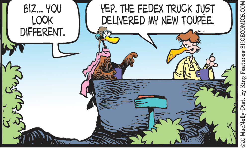Comic book OCR: BIZ.. YOU LOOK DIFFERENT. YEP. THE FEDEX TRUCK JUST DELIVERED MY NEW TOUPÉE. O20 MacNelly-Dist. by King Features-SHOECOMICS.COM BIZ.. YOU LOOK DIFFERENT. YEP. THE FEDEX TRUCK JUST DELIVERED MY NEW TOUPÉE. O20 MacNelly-Dist. by King Features-SHOECOMICS.COM