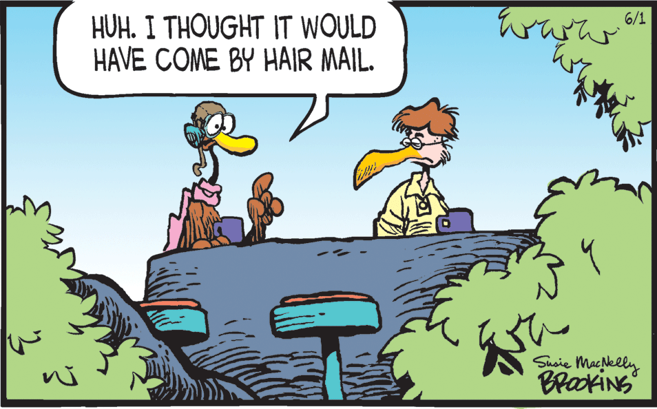 Fiction OCR: 6/1 HUH. I THOUGHT IT WOULD HAVE COME BY HAIR MAIL. Susie Machelly BrakiNS 6/1 HUH. I THOUGHT IT WOULD HAVE COME BY HAIR MAIL. Susie Machelly BrakiNS