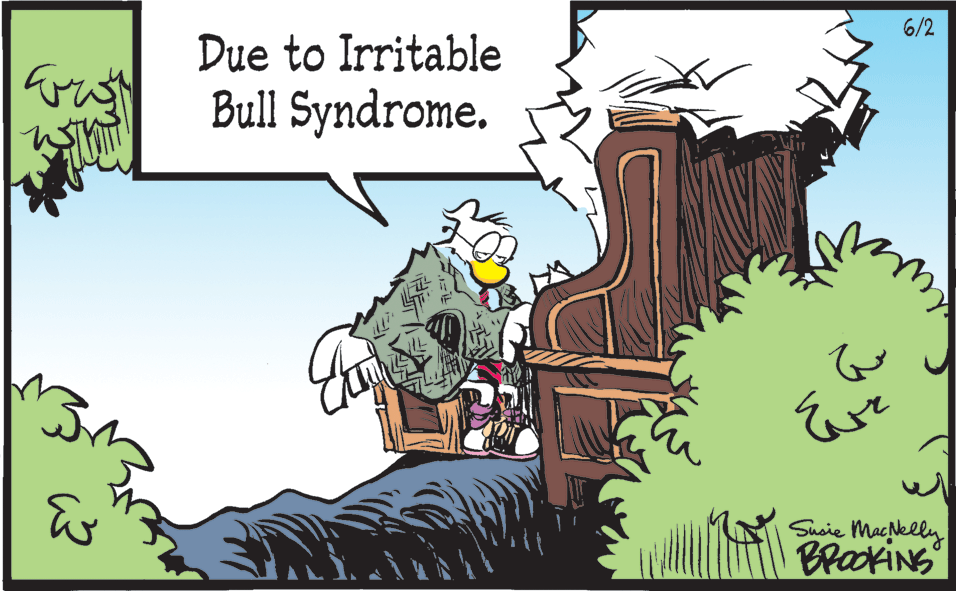 Adaptation OCR: 6/2 Due to Irritable Bull Syndrome. Suoie Macelly BrackiNG 6/2 Due to Irritable Bull Syndrome. Suoie Macelly BrackiNG