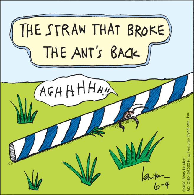 Handwriting OCR: THE STRAW THAT BROKE THE ANT'S BACK AGH AHHAD lanton 6-4 ©2020 Mary Lawton SIX CHIX @2020 King Features SyndicateInc. THE STRAW THAT BROKE THE ANT'S BACK AGH AHHAD lanton 6-4 ©2020 Mary Lawton SIX CHIX @2020 King Features Syndicate