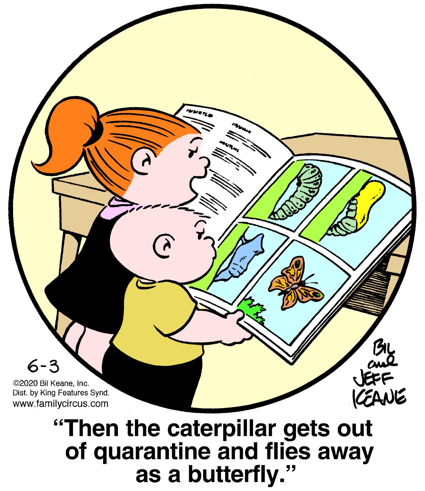 Drawing OCR: BL 6-3 JEFF CEANE "Then the caterpillar gets out of quarantine and flies away ©2020 Bil KeaneInc. Dist. by King Features Synd. www.familycircus.com as a butterfly." BL 6-3 JEFF CEANE "Then the caterpillar gets out of quarantine and flies away ©2020 Bil KeaneInc. Dist. by King Features Synd. www.familycircus.com as a butterfly."