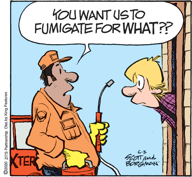 Illustration OCR: KOU WANT USTO FUMIGATE FOR WHAT?? TER 6.3 GLOTTAnd BORGMAN" ©2020 ZITS Partnership. Dist.by King Features KOU WANT USTO FUMIGATE FOR WHAT?? TER 6.3 GLOTTAnd BORGMAN" ©2020 ZITS Partnership. Dist.by King Features