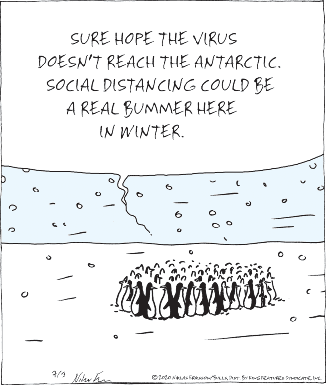 Illustration OCR: SURE HOPE THE VIRUS DOESN'T REACH THE ANTARCTIC. SOCIAL DISTANCING COULD BE A REAL BUMMER HERE IN WINTER. © 2020 NIKLAS ERIKSSON/BULLSINC. SURE HOPE THE VIRUS DOESN'T REACH THE ANTARCTIC. SOCIAL DISTANCING COULD BE A REAL BUMMER HERE IN WINTER. © 2020 NIKLAS ERIKSSON/BULLSDIST. BY KING FEATURES SYNDICATE