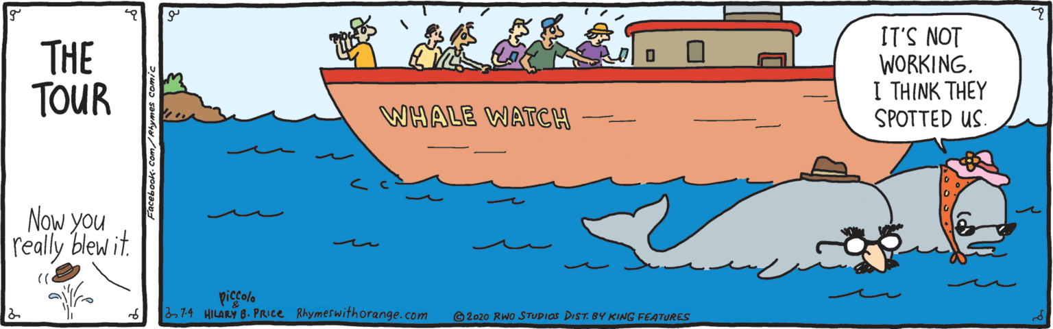 Fin OCR: THE TOUR IT'S NOT WORKING. I THINK THEY SPOTTED US. WHALE WATCH Now you really blew it. )) piccolo 274 HILARY B. PRICE Rhymeswithorange.com 2020 RWo STUDIOS DIST. BY KING FEATURES THE TOUR IT'S NOT WORKING. I THINK THEY SPOTTED US. WHALE WATCH Now you really blew it. )) piccolo 274 HILARY B. PRICE Rhymeswithorange.com 2020 RWo STUDIOS DIST. BY KING FEATURES