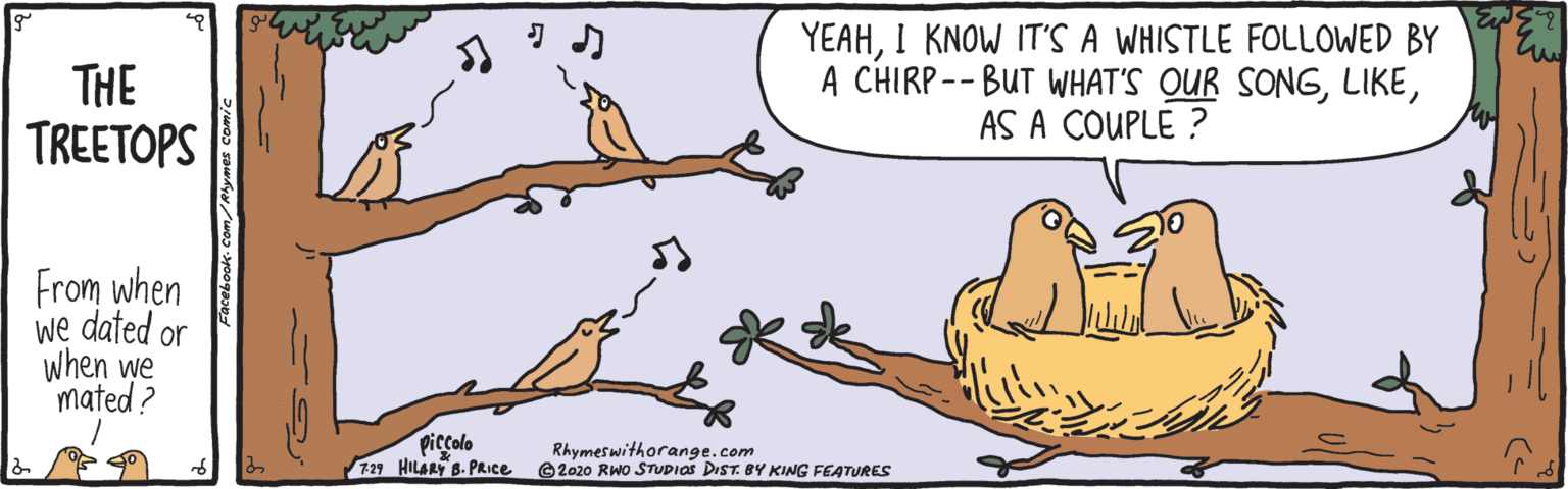 Drawing OCR: THE TREETOPS YEAHI KNOW IT'S A WHISTLE FOLLOWED BY A CHIRP-- BUT WHAT'S QUR SONGAS A COUPLE ? From when we dated or when we mated ? piccolo 129 HILARY B. PRice Rhymeswithorange.com G2020 RWo STUDIAS DIST. BY KING FEATURES THE TREETOPS YEAHI KNOW IT'S A WHISTLE FOLLOWED BY A CHIRP-- BUT WHAT'S QUR SONGAS A COUPLE ? From when we dated or when we mated ? piccolo 129 HILARY B. PRice Rhymeswithorange.com G2020 RWo STUDIAS DIST. BY KING FEATURES