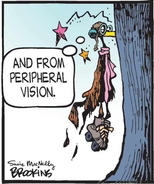 Graphics OCR: AND FROM PERIPHERAL VISION. Susie Macelly BrakiNS AND FROM PERIPHERAL VISION. Susie Macelly BrakiNS