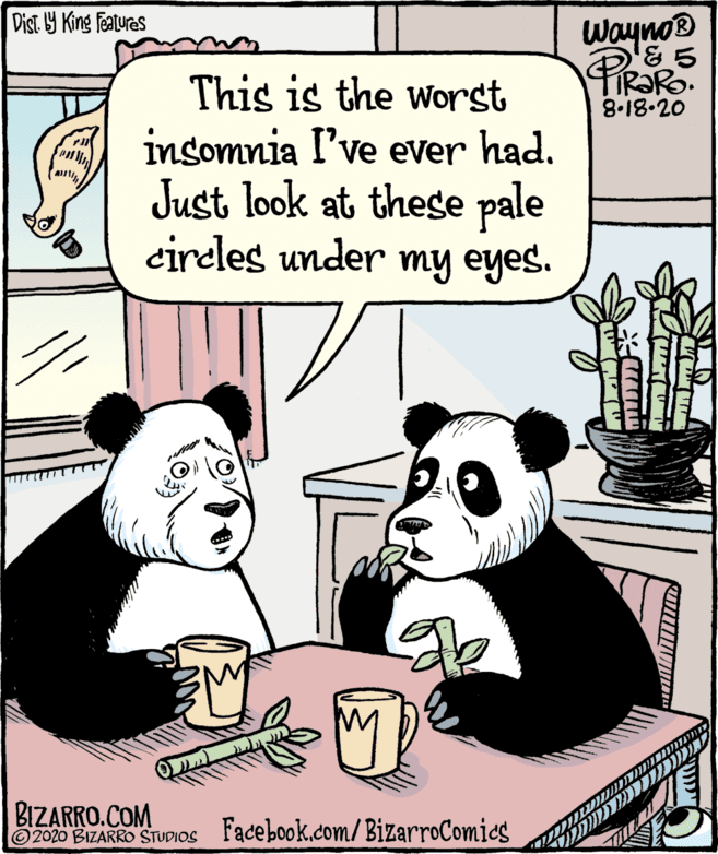 Snout OCR: Dist 9 King featuras Wayno® TIR?R. 8.18.20 This is the worst insomnia I've ever had. Just look at thege pale circles under my eyes. BIZARRO.COM 2020 BIZARRO STUDIOS Facebook.com/ BizarroComics Dist 9 King featuras Wayno® TIR?R. 8.18.20 This is the worst insomnia I've ever had. Just look at thege pale circles under my eyes. BIZARRO.COM 2020 BIZARRO STUDIOS Facebook.com/ BizarroComics