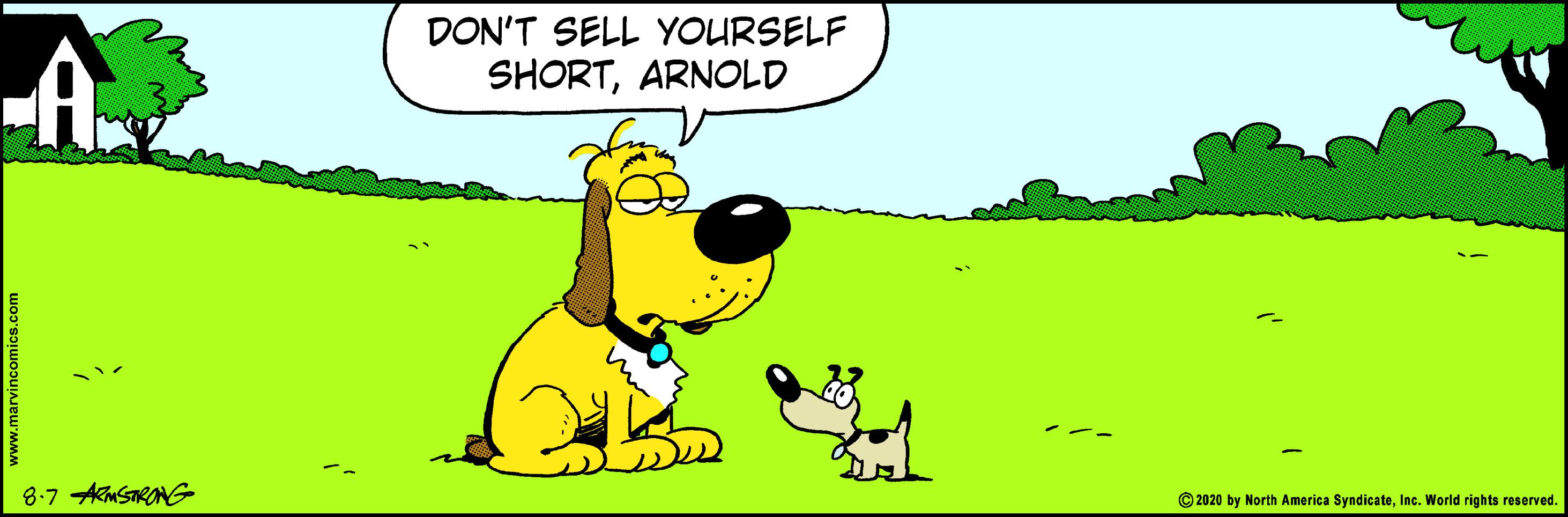 Animation OCR: DON'T SELL YOURSELF SHORTARNOLD 8-7 AkMSTRONG © 2020 North America SyndicateInc. World rights reserved. DON'T SELL YOURSELF SHORTARNOLD 8-7 AkMSTRONG © 2020 North America SyndicateInc. World rights reserved.
