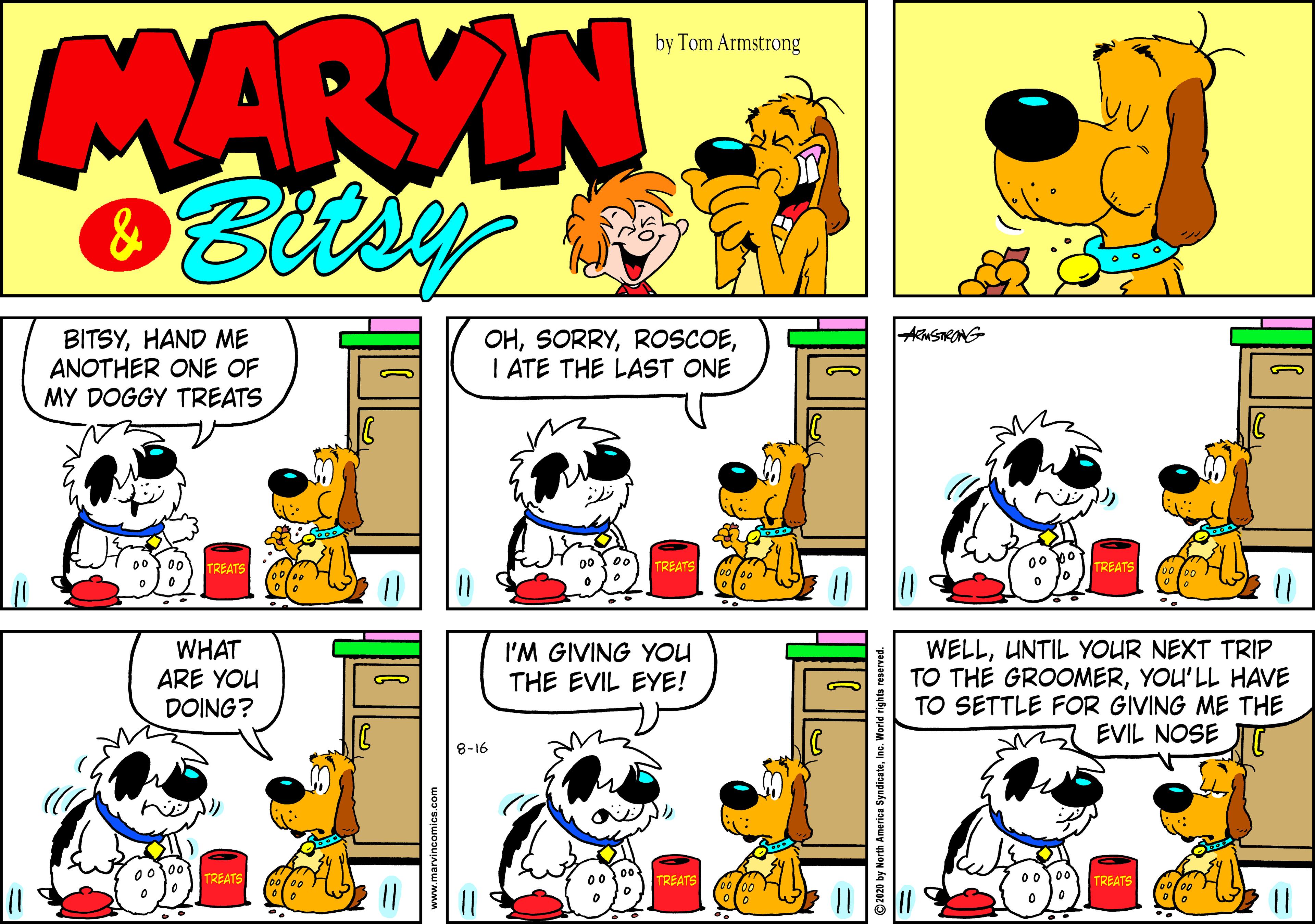 Cartoon OCR: MARVIN by Tom Armstrong BITSYHAND ME ANOTHER ONE OF MY DOGGY TREATS OHI ATE THE LAST ONE TREATS TREATS TREATS WHAT ARE YOU DOING? WELLUNTIL YOUR NEXT TRIP TO THE GROOMERYOU'LL HAVE TO SETTLE FOR GIVING ME THE EVIL NOSE I'M GIVING YOU THE EVIL EYE! 8-16 TREATS TREATS TREATS ©2020 by North Ame MARVIN by Tom Armstrong BITSYHAND ME ANOTHER ONE OF MY DOGGY TREATS OHI ATE THE LAST ONE TREATS TREATS TREATS WHAT ARE YOU DOING? WELLUNTIL YOUR NEXT TRIP TO THE GROOMERYOU'LL HAVE TO SETTLE FOR GIVING ME THE EVIL NOSE I'M GIVING YOU THE EVIL EYE! 8-16 TREATS TREATS TREATS ©2020 by North Ame