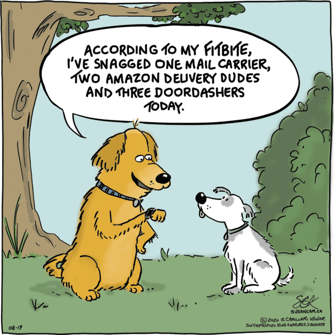 Font OCR: ACCORDING TO MY FITBITETwo AMAZON DEUVERY DUDES AND THREE DOORDASHERS TODAY. SEL SUSANCAM.CA ©2020 S.CAMILLERI KONAR SK CHIKO2020 KING FCATURES SYNOCATE 08-19 ACCORDING TO MY FITBITEI'VE SNAGGED ONE MAIL CARRIERTwo AMAZON DEUVERY DUDES AND THREE DOORDASHERS TODAY. SEL SUSANCAM.CA ©2020 S.CAMILLERI KONAR SK CHIKO2020 KING FCATURES SYNOCATE 08-19