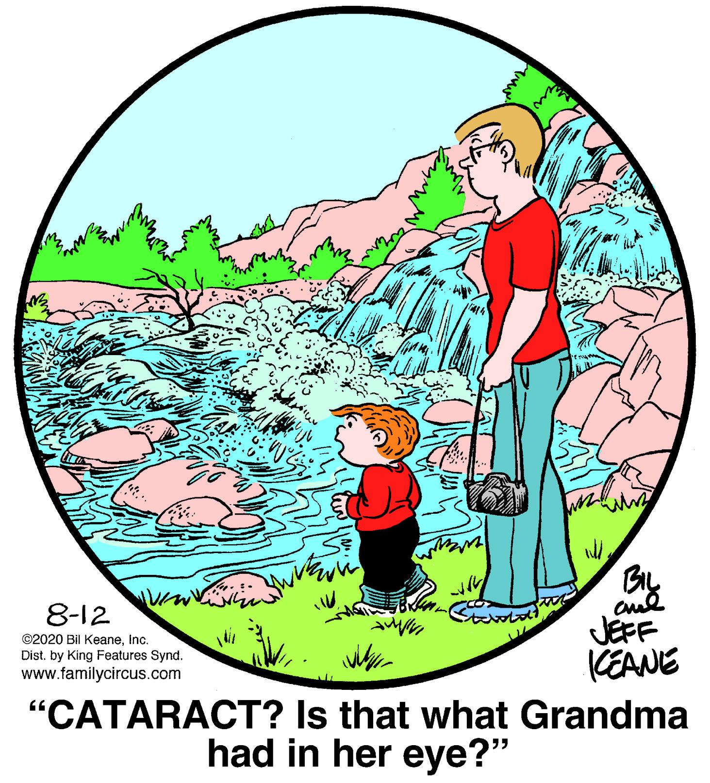 Organism OCR: BIL JEFF KEANE "CATARACT? Is that what Grandma 8-12 ©2020 Bil KeaneInc. Dist. by King Features Synd. www.familycircus.com had in her eye?" BIL JEFF KEANE "CATARACT? Is that what Grandma 8-12 ©2020 Bil KeaneInc. Dist. by King Features Synd. www.familycircus.com had in her eye?"