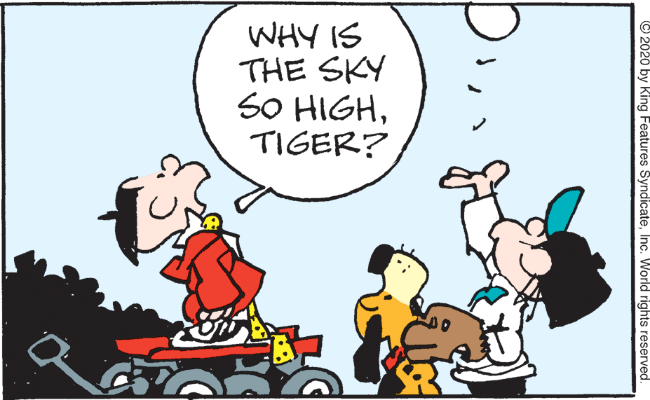 Fiction OCR: WHY IS THE SKY SO HIGHTIGER? 2020 by King Features SyndicateInc. World rights reserved. WHY IS THE SKY SO HIGHTIGER? 2020 by King Features SyndicateInc. World rights reserved.