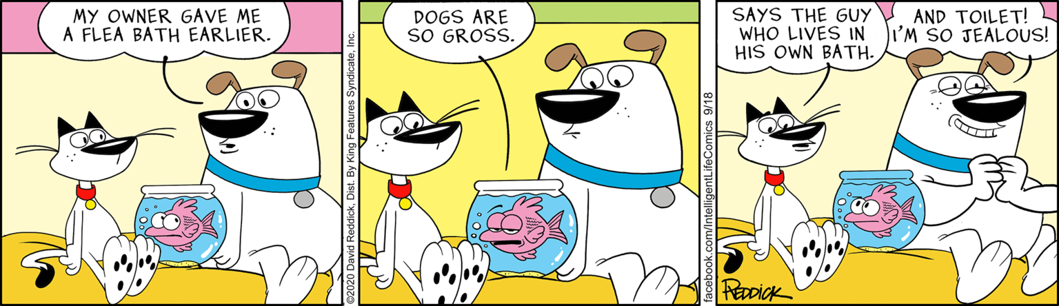 Art OCR: MY OWNER GAVE ME A FLEA BATH EARLIER. DOGS ARE SO GROSS. SAYS THE GUY AND TOILET! WHO LIVES IN HIS OWN BATH. II'M SO JEALOUS! FeaDiak MY OWNER GAVE ME A FLEA BATH EARLIER. DOGS ARE SO GROSS. SAYS THE GUY AND TOILET! WHO LIVES IN HIS OWN BATH. II'M SO JEALOUS! FeaDiak