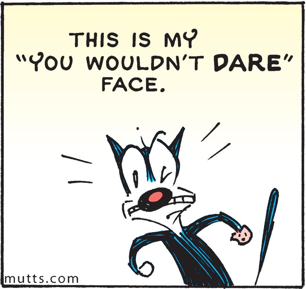 Humour OCR: THIS IS MY "You WOULDN'T DARE" FACE. mutts.com THIS IS MY "You WOULDN'T DARE" FACE. mutts.com