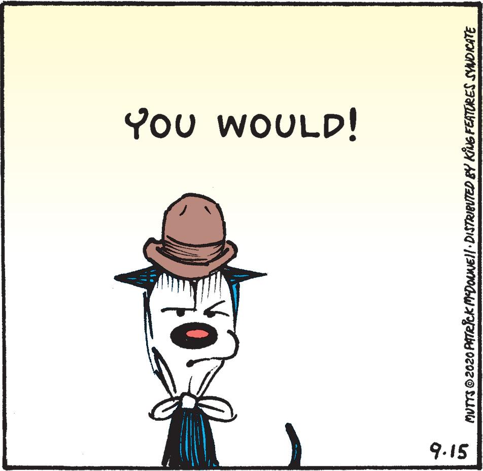 Fictional character OCR: You WOULD! 9.15 MUTTS O2020 PATRICK MDOuNEll DISTRIBUTED BY KING FEATORES SYWOCATE You WOULD! 9.15 MUTTS O2020 PATRICK MDOuNEll DISTRIBUTED BY KING FEATORES SYWOCATE