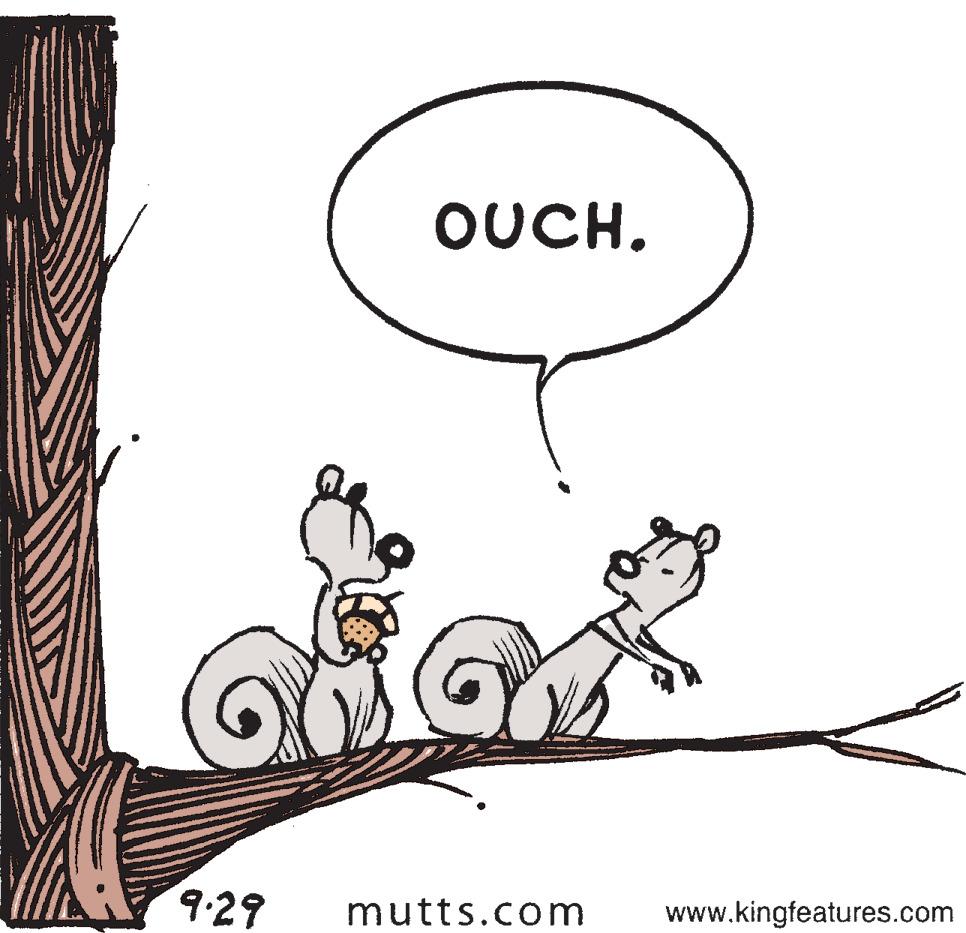 Art OCR: OUCH. 9.29 mutts.com www.kingfeatures.com OUCH. 9.29 mutts.com www.kingfeatures.com