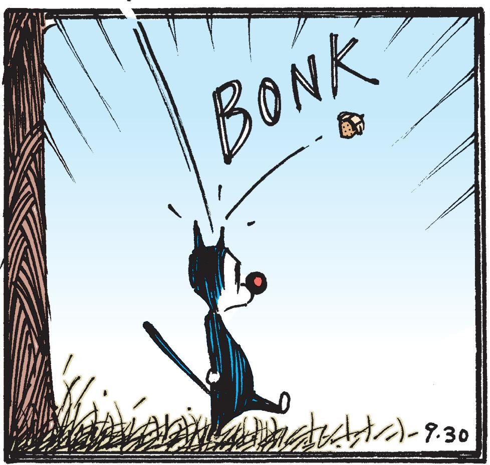 Art OCR: BONK BONK