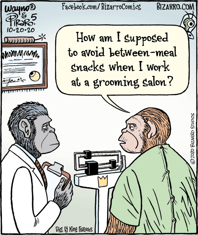 Rectangle OCR: Wayno® Facebook.com/BizarroComies BIZARRO.COM 10-20.20 How am I suppoged to avoid between-meal snacks when I Work at a grooming salon? Dist 9 King features ©2020 BIZARRO STUDIOS Wayno® Facebook.com/BizarroComies BIZARRO.COM 10-20.20 How am I suppoged to avoid between-meal snacks when I Work at a grooming salon? Dist 9 King features ©2020 BIZARRO STUDIOS